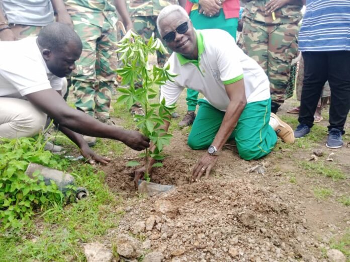 Bazèga/Journée de reboisement : Le Conseil constitutionnel renforce la forêt à Zamcé avec plus de 1000 plants mis en terre | AIB