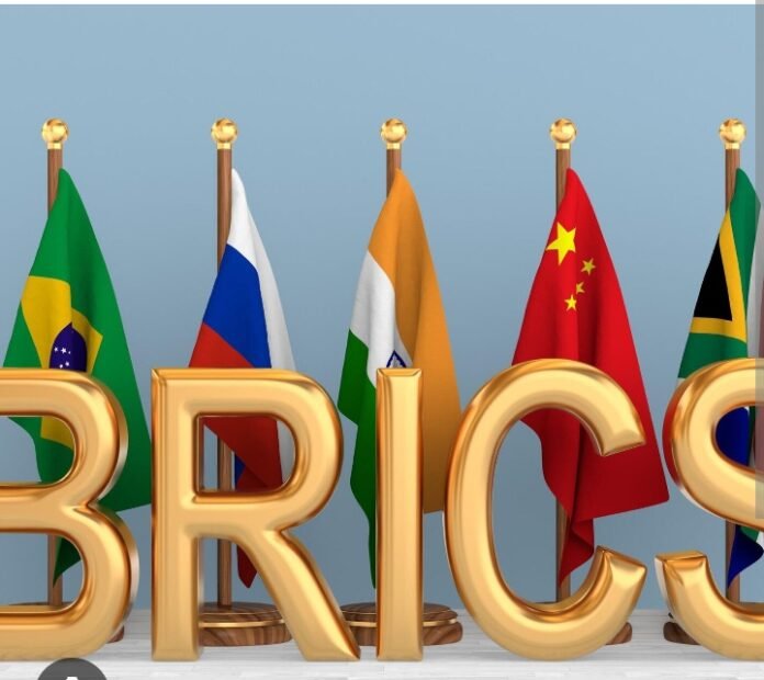 Les Brics sont un contrepoids au système financier mondial existant (Anadolu) | AIB