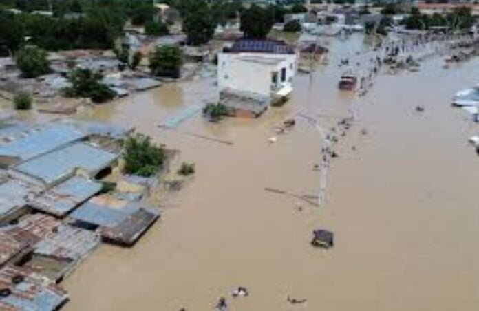 Nigeria: un million de personnes touchées par les inondations dans l’État de Borno | AIB