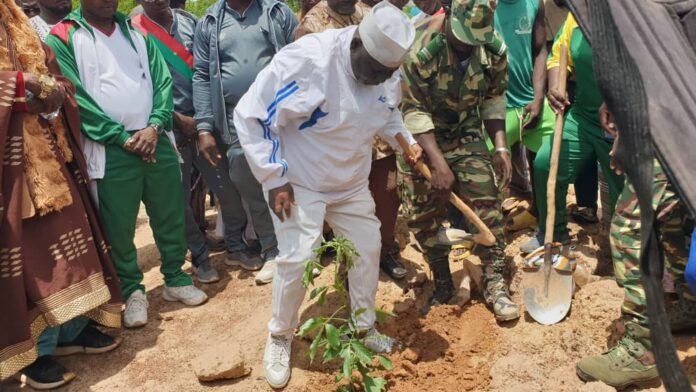 Kourwéogo/Journée nationale de l’arbre : 1 050 plants de renfort pour la forêt villageoise de Barama | AIB