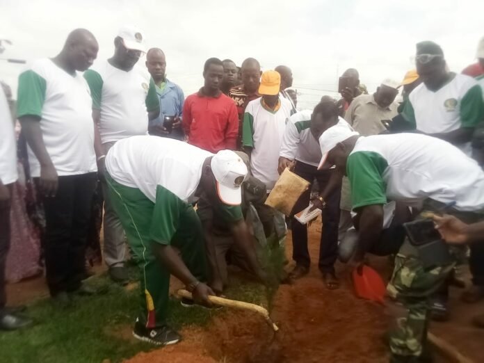 Sissili : 150 plants mis en terre lors de la 6e édition journée nationale de l’arbre | AIB