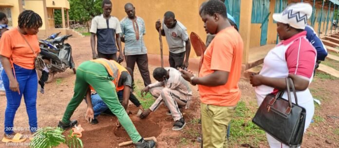 Nayala : une association plante 100 arbres et offre 25 fourneaux aux PDI de Toma | AIB