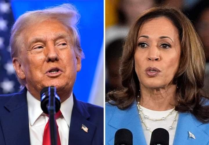 Présidentielle américaine : Donald Trump dispose d’une avance sur Kamala Harris